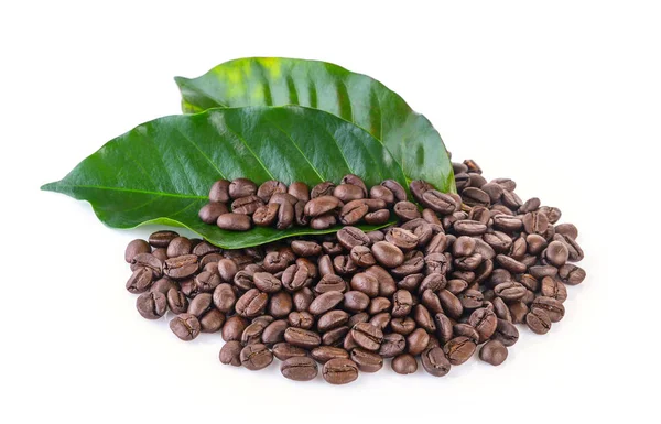 Coffee grains and leaves on white background — Stock Photo, Image