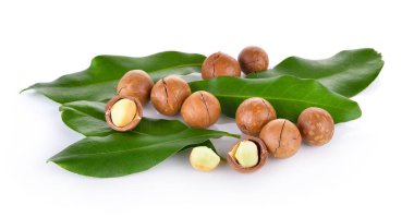 Beyaz arka planda Macadamia cevizi