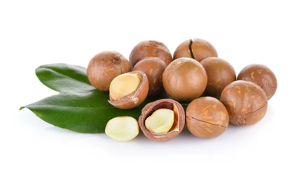 Macadamia nut on white background — Stock Photo, Image