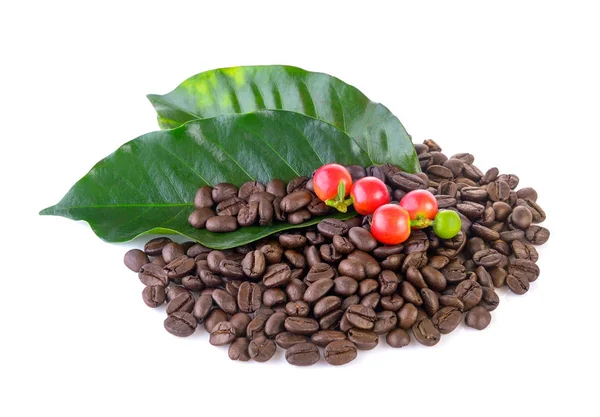 Coffee grains and leaves on white background — Stock Photo, Image