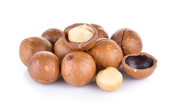 Noce macadamia su sfondo bianco — Foto Stock