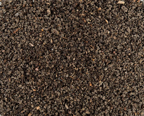 Soil texture background — Stock Photo, Image