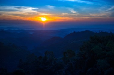 sabah görünümünü tropikal orman