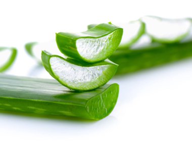 aloe vera taze yaprak beyaz arka plan üzerinde izole