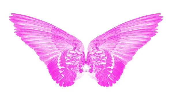 Pink wings of birds on white bacground — Stock Photo, Image