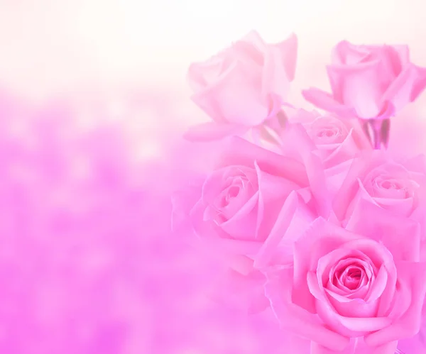 背景のピンクのバラ — ストック写真