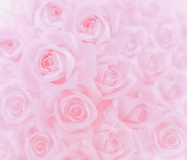 Pink roses for ackground — Stock Photo, Image