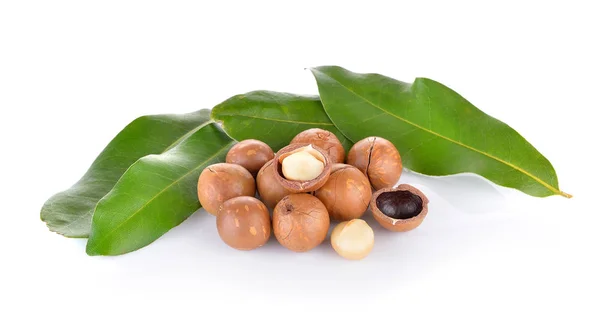 Noci di macadamia su bianco — Foto Stock