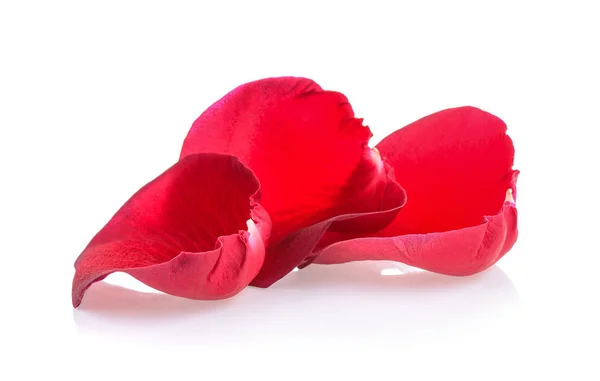 Rose petals on white background Stock Image