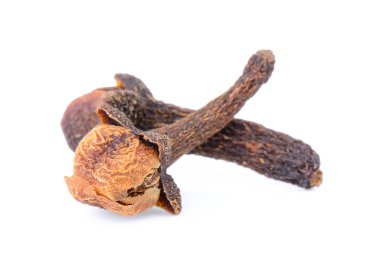 karanfil beyaz zemin üzerine