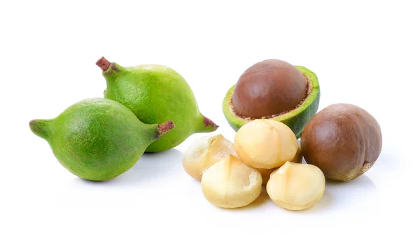 Nueces de macadamia sobre fondo blanco —  Fotos de Stock