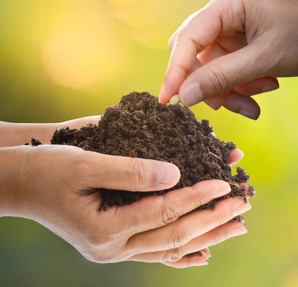 Hand Pflanzung eines Saatguts in den Boden, Konzept des Wachstums und der Landwirtschaft — Stockfoto