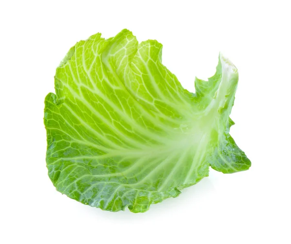 Cabbage leaf on white background — Stock Photo, Image