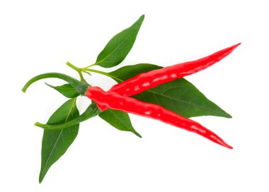yaprak beyaz zemin üzerine kırmızı biber