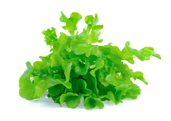 Hoja de ensalada. Lechuga aislada sobre fondo blanco — Foto de Stock