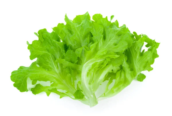 Salad leaf. Lettuce isolated on white background — Stock Photo, Image