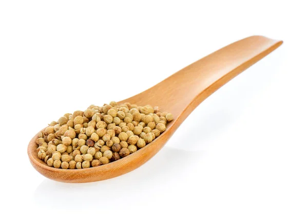 Coriander seeds in wood spoon on white background — Stock Photo, Image