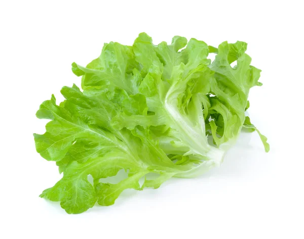 Saladeblad. Sla geïsoleerd op witte achtergrond — Stockfoto