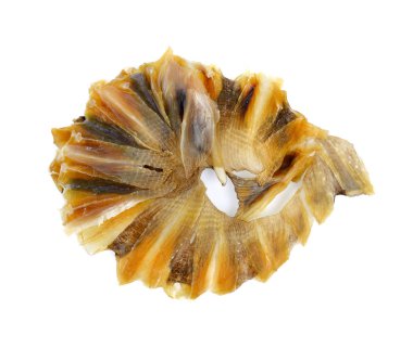 Beyaz arka plan üzerinde izole kurutulmuş Stingray balık