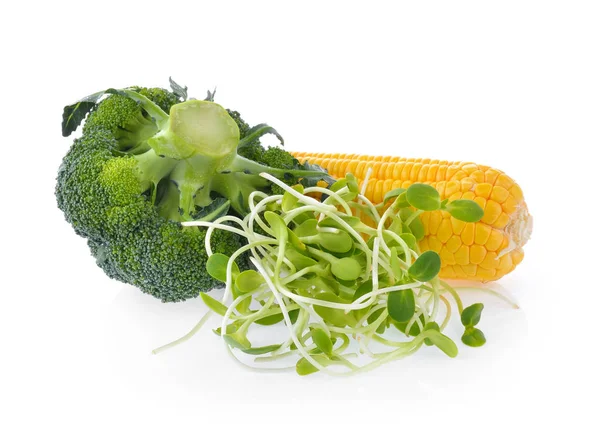 Jeunes pousses de tournesol brocoli de maïs isolé sur fond blanc — Photo