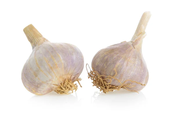 Garlic on white background — Stock Photo, Image