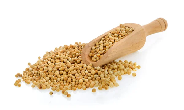 Coriander seeds in scoop isolated on white background — Stock Photo, Image