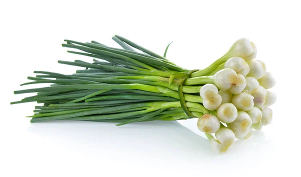 Fresh onion isolated on the white background — Stock Photo, Image