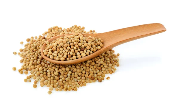 Coriander Seeds Wood Spoon White Background — Stock Photo, Image