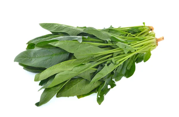 Spinach leaves isolated on white background — Stock Photo, Image