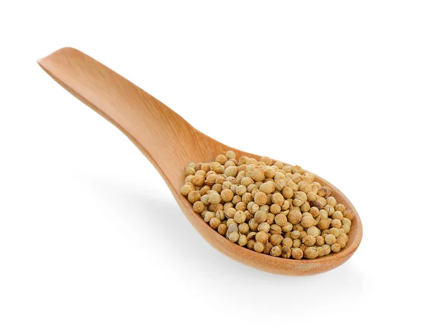 Coriander seeds in wood spoon on white background — Stock Photo, Image