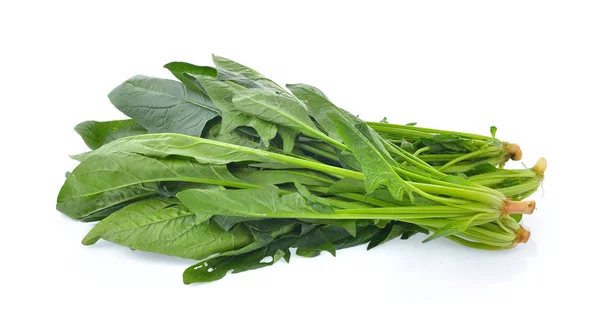 Spinach leaves isolated on white background — Stock Photo, Image