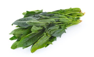 Beyaz arkaplanda ıspanak yaprakları izole