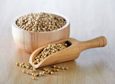 ahşap üzerine kişniş tohumu