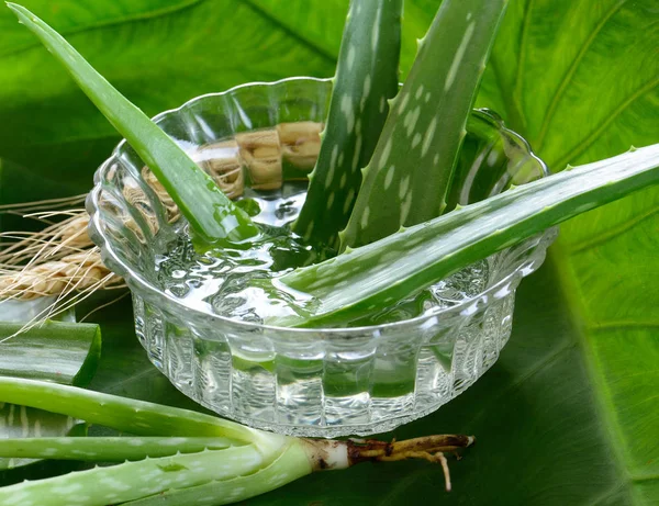 Aloe Vera Gel Dalam Mangkuk Dengan Atas Meja Kayu — Stok Foto