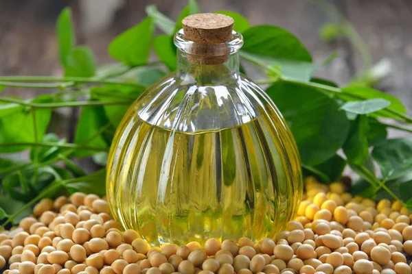 Σόγιας bean oil και φύλλων — Φωτογραφία Αρχείου