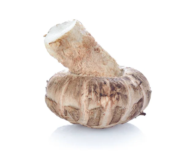 Shiitake svamp på den vita bakgrunden — Stockfoto