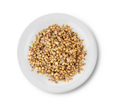 Beyaz arka plan üzerinde plaka kişniş tohumu