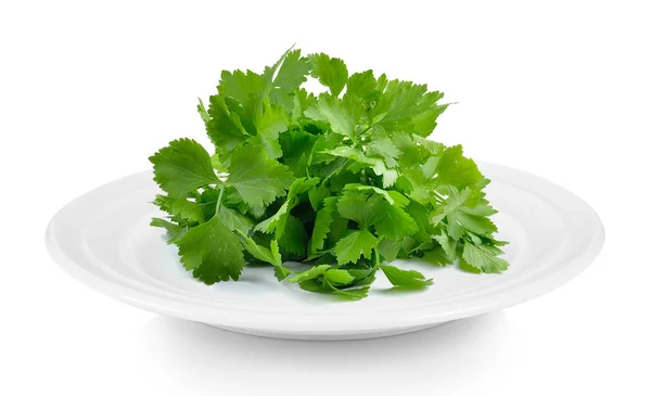 Celery in plate on white background — Stock Photo, Image