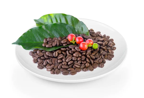 Coffee grains and leaves in plate on white background — Stock Photo, Image