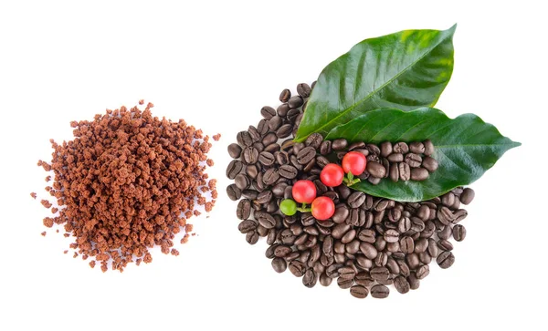 Kaffe korn och snabbkaffe på vit bakgrund — Stockfoto