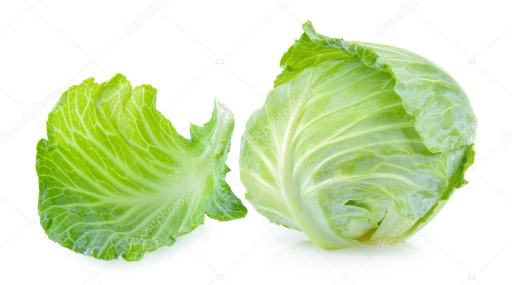 cabbage leaf on white background
