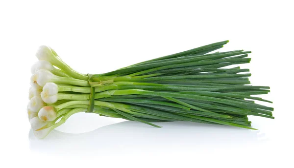 Green onion isolated on the white background — Stock Photo, Image