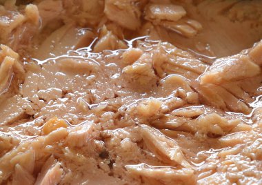 konserve ton balığı 