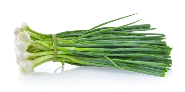 Cebolla verde aislada en el fondo blanco — Foto de Stock