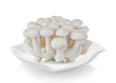 Beyaz kayın mantar, Shimeji mantar, yenilebilir mantar plat içinde