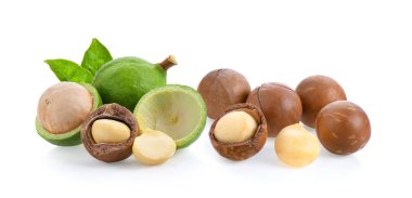 Beyaz arka planda izole edilmiş Macadamia fındıkları.