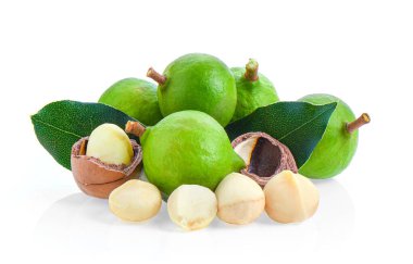 Beyaz arka planda yaprağı olan Macadamia fındıkları.