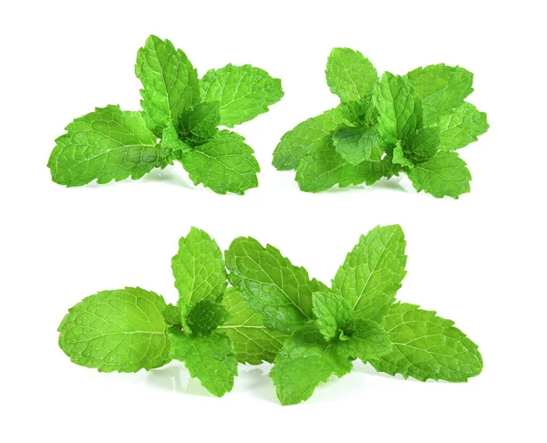 Mint Leafs Herb Isolated White Background — Stock Photo, Image