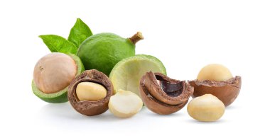 Beyaz arka planda izole edilmiş Macadamia fındıkları.