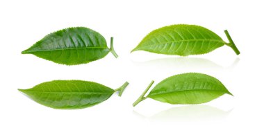 Beyaz arkaplanda izole çay yaprağı